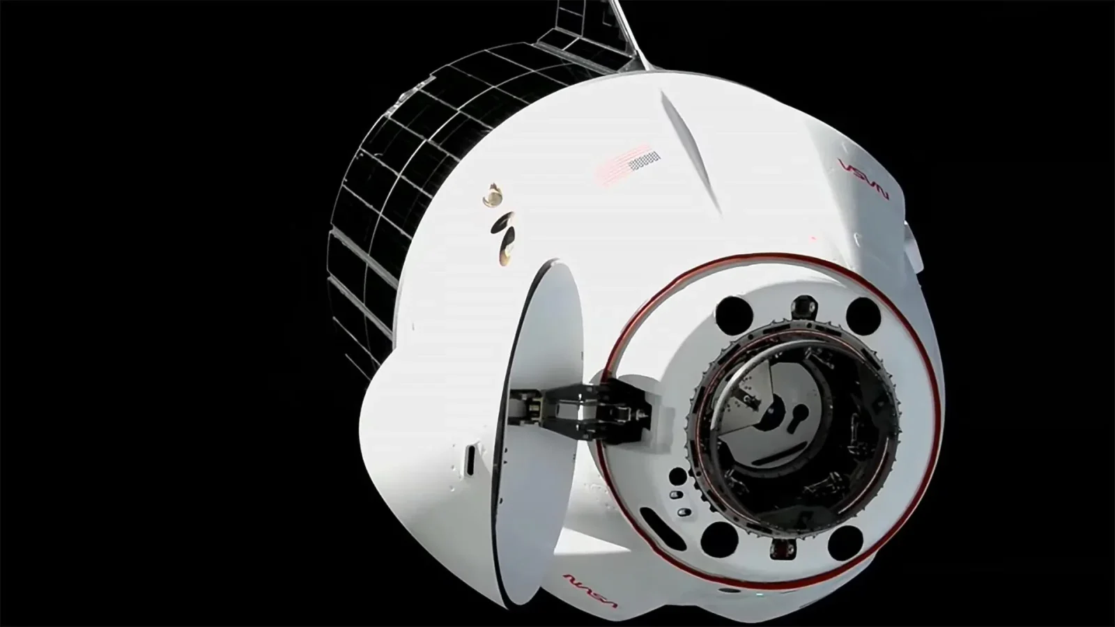 SpaceX just delivered some very strange cargo to the International Space Station