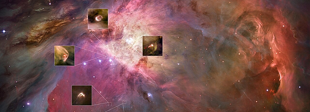 Stellar collision may explain why Orion Nebula's planet-forming disks appear younger than its stars