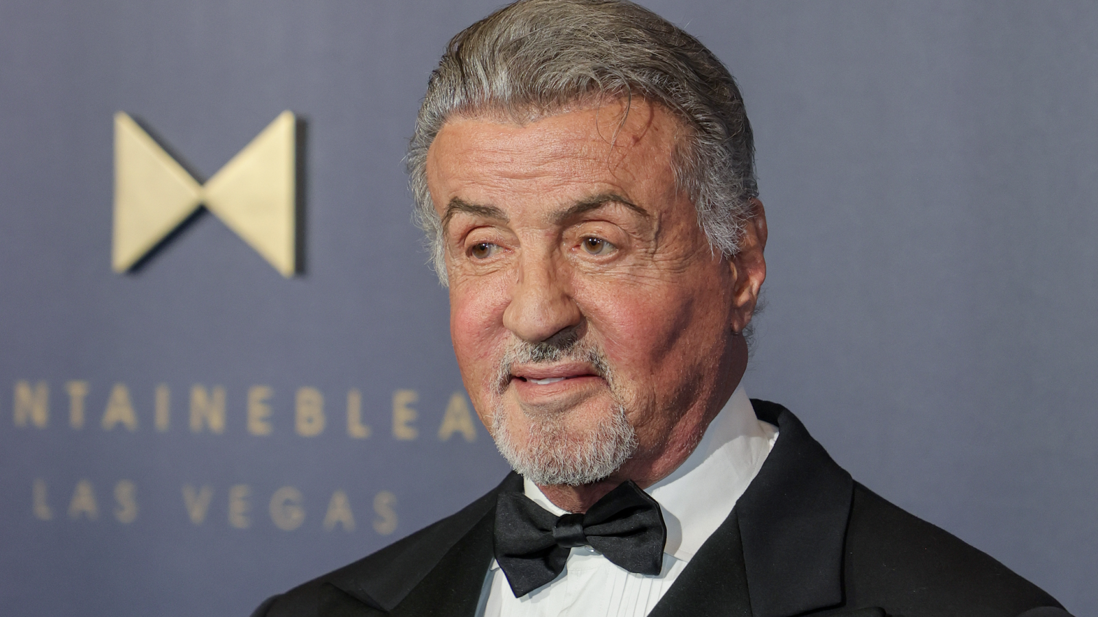 Sylvester Stallone Has ‘Millions of Regrets’ About Doing His Own Stunts: ‘I’m An Idiot for Doing That’