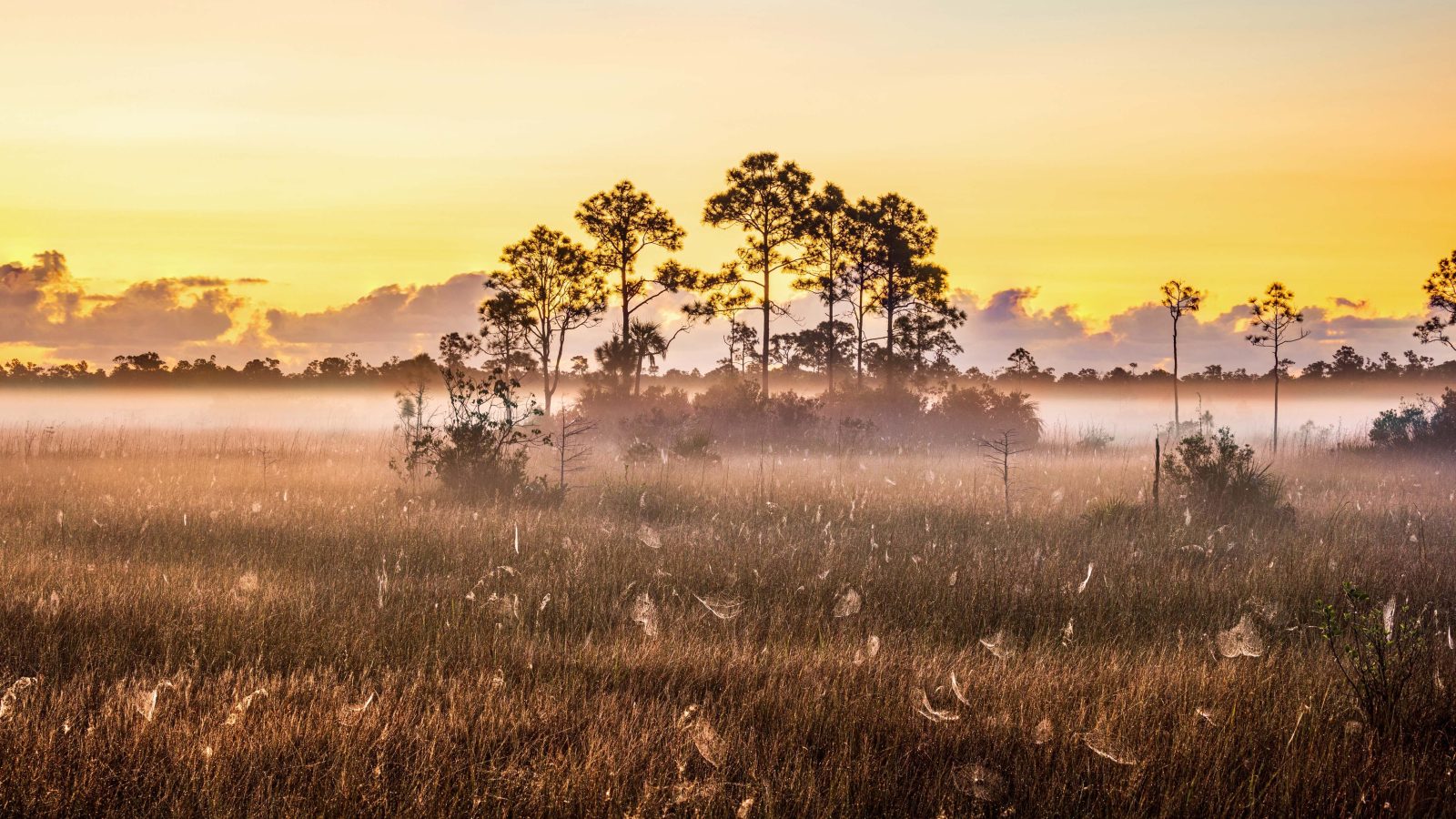 The Best East Coast National Parks, According to Someone Who's Visited Them All