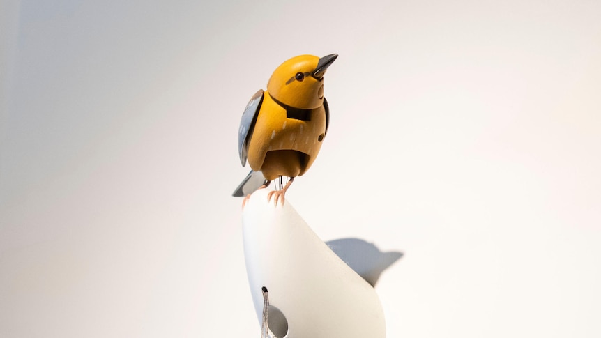 The toy store, $15m bird and famous singer at the centre of an online feud