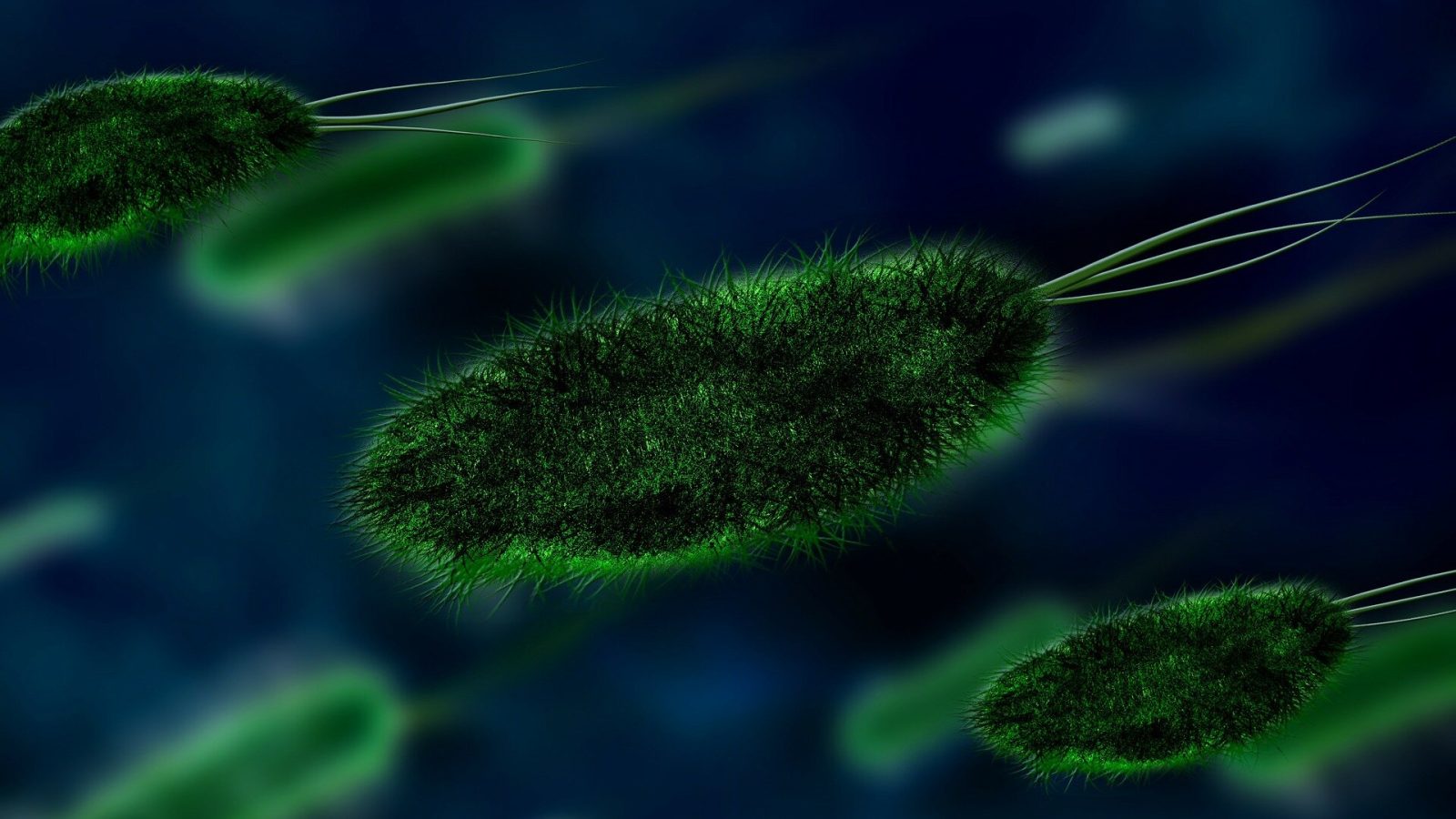 Tiny marine microbe sheds new light on how little genetic machinery a cell needs to survive