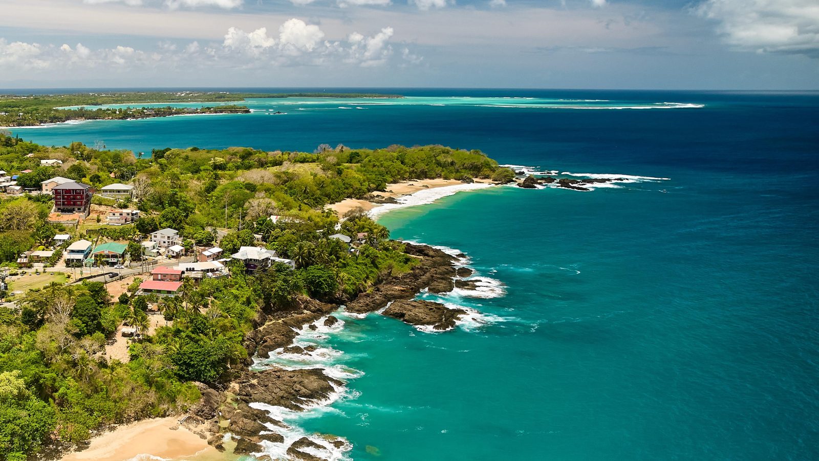 Tourism expansion v turtle nests: the dispute dividing communities in one Tobago resort