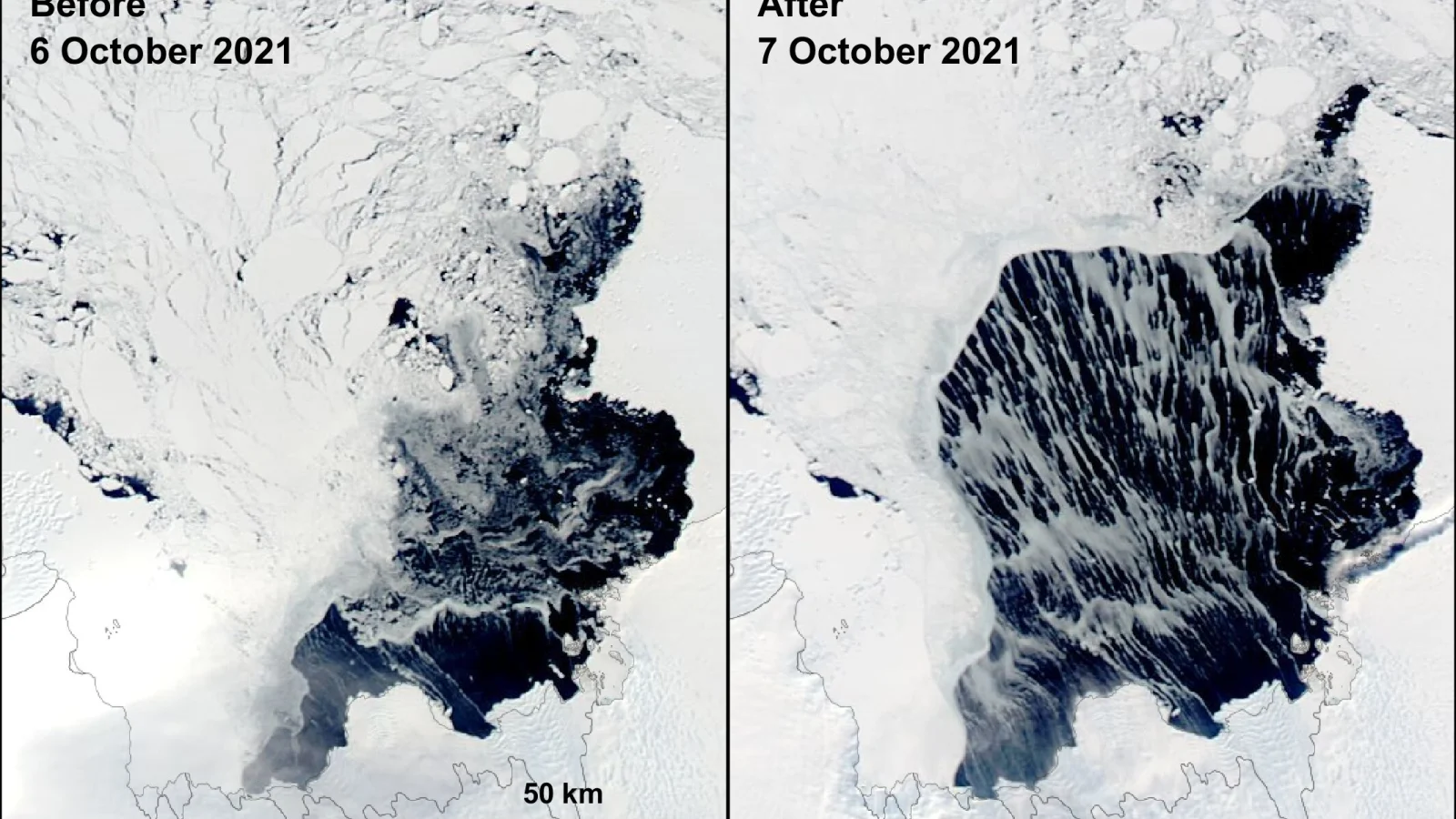 Waves alter Antarctic polynyas by breaking up surrounding sea ice