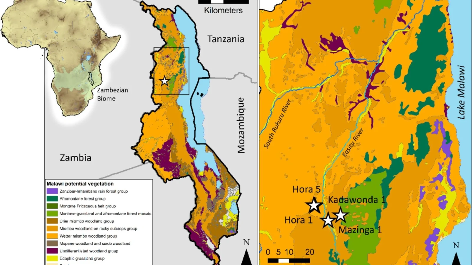 What animal bones in Malawi teach us about the social lives of people long ago