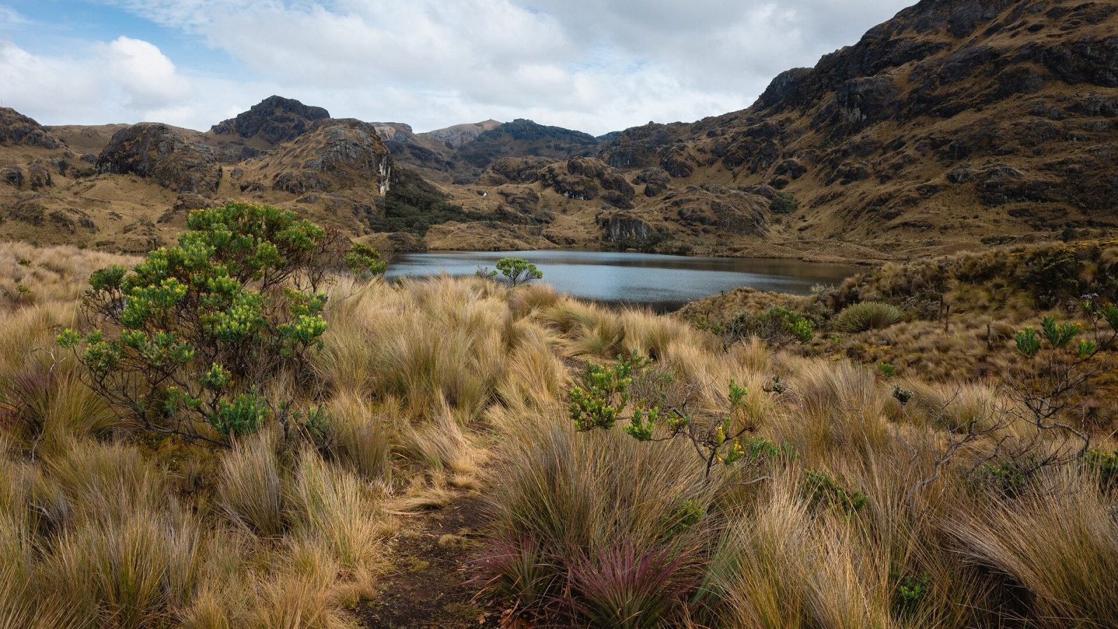 Why some Indigenous communities don't resist oil extraction in their territories