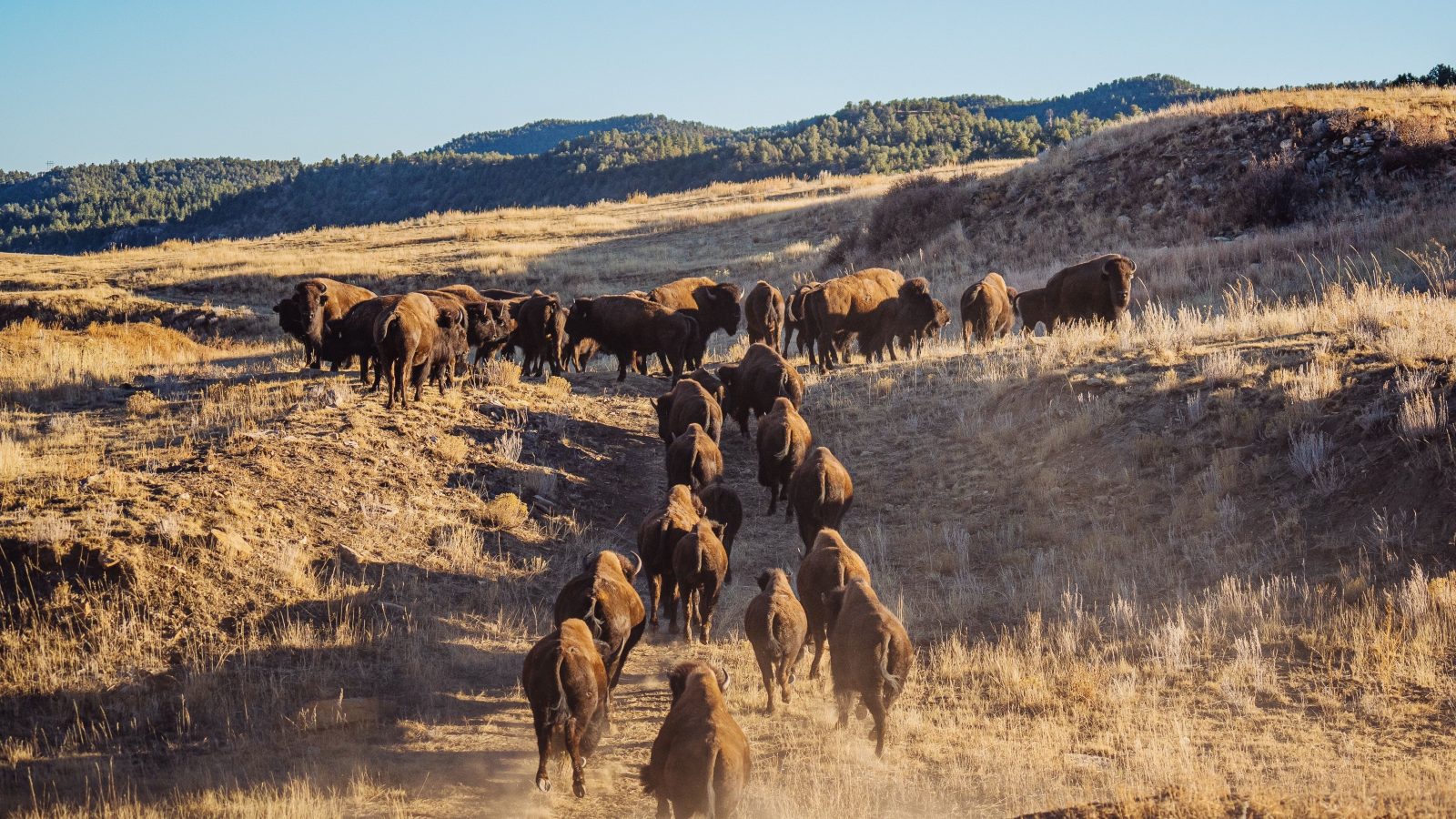 Why You Might Find Yourself Fishing, Foraging—Or Even Hunting—On Your Next Vacation