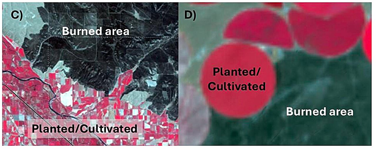 Wide-scale cropland loss has consequences for wildfire resilience in the American West