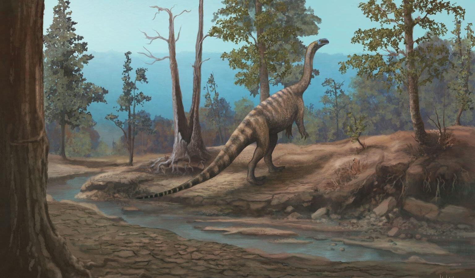 Zimbabwe's dinosaurs were different from South Africa's: New species offers clues