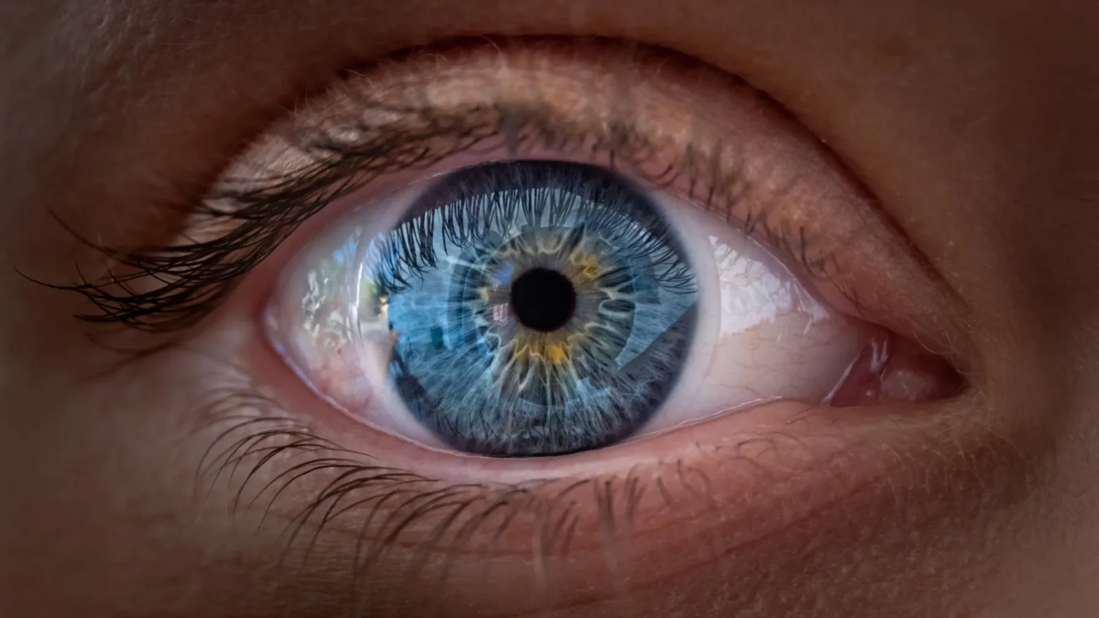 A surprising vitamin A discovery is changing what scientists know about vision